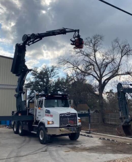 Tree Removal Erie PA